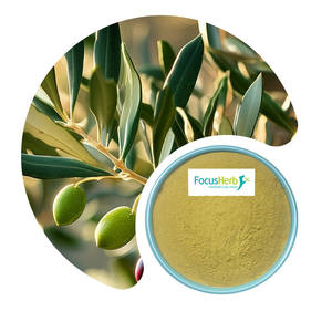 FocusHerb USA Warehouse Wholesale Extrait de feuille d'olivier en poudre d'oléuropéine 20% HPLC - Product Image 3