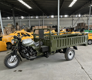 Motocicleta Triciclo <span class=keywords><strong>de</strong></span> Gasolina con Motor <span class=keywords><strong>de</strong></span> Gasolina, Caja <span class=keywords><strong>de</strong></span> Carga Grande, Motocicleta <span class=keywords><strong>de</strong></span> Tres <span class=keywords><strong>Ruedas</strong></span> <span class=keywords><strong>de</strong></span> Carga Pesada - Product Image 1