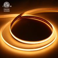 Raymates Led Cob Light 480led/m 12v 24v 8mm Ip65 Étanche Lumière de profil extérieure Bande LED pour éclairage décoratif extérieur