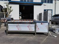 Groente Wasmachine Luchtbellen Groenten Wasmachine Voor Fruit Champignons Verwerkingsfabriek Met Motor & Pomp