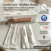 Kit de Cathétérisme Urinaire Vétérinaire pour Chat, Emballage Stérile Individuel, Cathéter Félin avec Trous de Suture