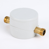 Lecture à distance numérique LoRaWAN R400 Compteur d'eau résidentiel intelligent Compteur d'eau à ultrasons