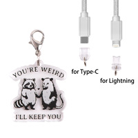 Cache-poussière personnalisé en acrylique motif dessin animé pour iPhone USB-C – Breloque mignonne pour téléphone, protection du port de charge