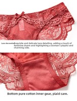 Sexy Luxuriöse Transparente Blumen-Netz-Lingerie Übergröße A-E Cup Rückverschluss Zwei Reihen Haken Feste Träger Damen Unterwäsche-Set