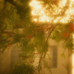 Oem 49-82 Mét mềm thủy tinh ấm giấc mơ FX lọc với máy ảnh khuếch tán để tăng cường nhiếp ảnh - Product Image 6