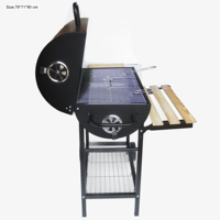 Accessoires pour barbecue, barbecue rotatif, barbecue d'extérieur, cuisine, Parrilla De Gas, barbecue au charbon de bois, Barbecu Parrila Argentina