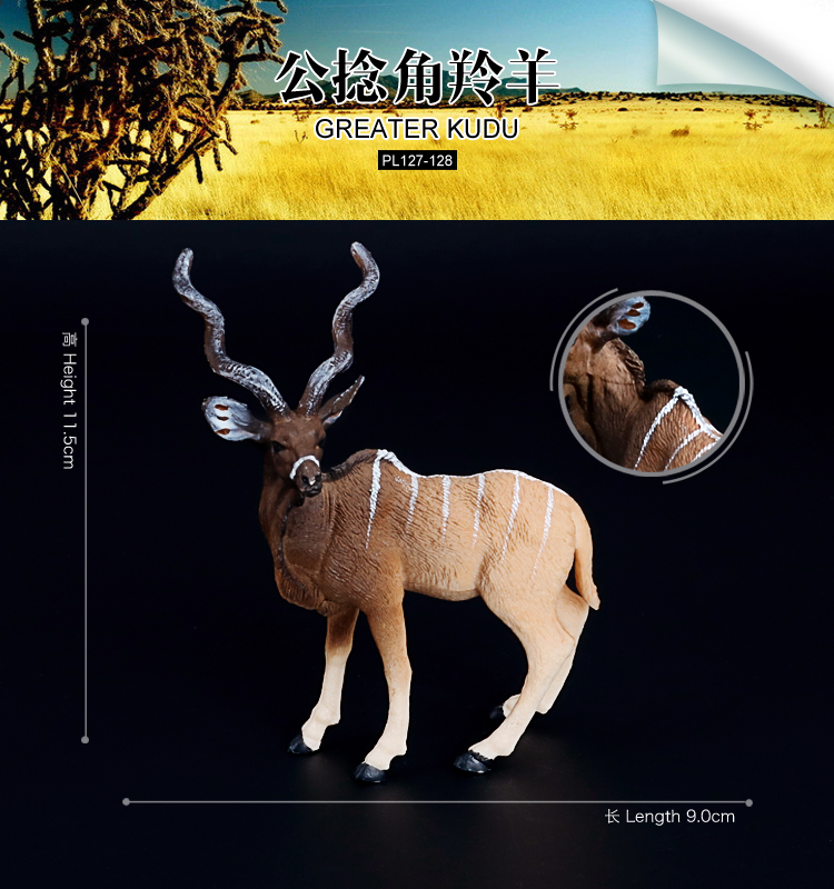 128 Antilope Kudu
