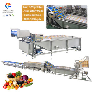 Lavadora de Frutas y Verduras de Acero Inoxidable Fengxiang, 1000-3000 kg/h, con Motor para Limpieza de Maíz por Burbujas - Product Image 1