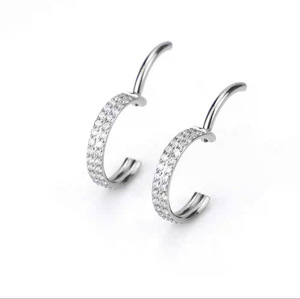 Anneau de piercing à <span class=keywords><strong>boucle</strong></span> fermée en titane G23 à double rangée de zircons, bijoux unisexes <span class=keywords><strong>pour</strong></span> le nez et l'oreille, bijoux de piercing à <span class=keywords><strong>boucle</strong></span> fermée en titane F136 - Product Image 2