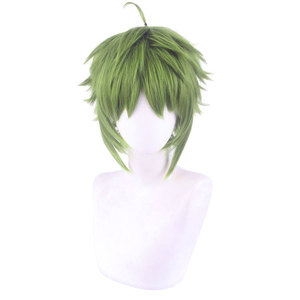 Peluca Sintética Verde de 30 cm de Ainizi, Disfraz de Sylphiette de Mushoku Tensei: Reencarnación sin Trabajo - Product Image 2