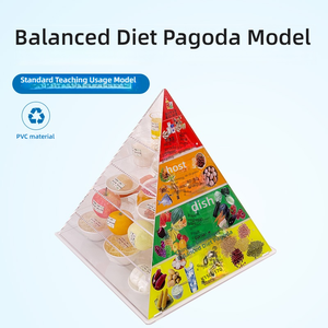 Modelo de Pirámide de Alimentos de Nutrición Equilibrada de China 2022, Comida Saludable, Porciones Intercambiables, Guías Dietéticas, Ciencia Médica - Product Image 4
