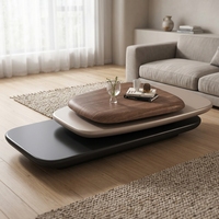 Table basse rotative en bois de frêne, style moderne et minimaliste, pour salon, table centrale, assortie au canapé, écologique, populaire pour la décoration intérieure