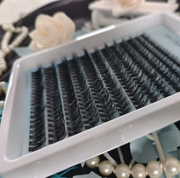 Extensión de pestañas esponjosas de visón 3D, abanico de volumen prefabricado, conjunto de pestañas de racimo de visón falso 30D 40D 50d, extensión de pestañas de 8-16mm