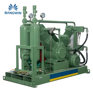 BW Medical Industrial Use Totally Oil-Free Oxygen Compressor O2 Booster For Cylinder Filling