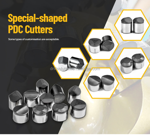 Frese Diamantate PDC di Forma Speciale Drillsoltek, Utensili di Perforazione OEM Forgiati |   Inserti Personalizzati Non Standard con Fori Stabilizzatori - Product Image 1