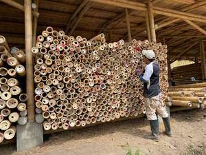 Varas de Bambú de Grado Comercial, Material de Construcción, Cañas Estructurales Grandes, Venta al por Mayor - Product Image 2