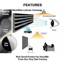 Écran de projection motorisé SHENGMU DD-01 100" 16:9 ALR CLR anti-lumière, adapté aux téléviseurs laser à ultra courte focale, cinéma maison