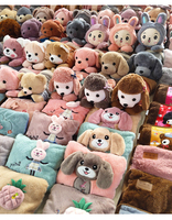 Sac à eau chaude en peluche pour la plomberie, joli oreiller de dessin animé avec couverture en peluche, chauffe-main électrique