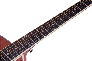 Steinste — instrument électrique + instrument à cordes de 41 pouces, marque OEM, avec pick, fabriqué en chine - Product Image 5