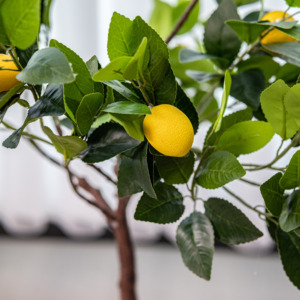 Simulación verde interior árboles artificiales en maceta limón y naranja fruta bonsái jardín al aire libre árboles frutales decorativos - Product Image 3