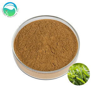 Extracto de Té Verde Herbal en Polvo Premium al por Mayor Personalizable 10:<span class=keywords><strong>1</strong></span> 20:<span class=keywords><strong>1</strong></span> Soluble en Agua Suplemento de Grado Alimenticio Puro - Product Image 1