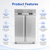 Congélateur vertical commercial de 1000 L, 2 portes, en acier inoxydable, refroidissement par ventilateur, réfrigérateur pour restaurant, cuisine