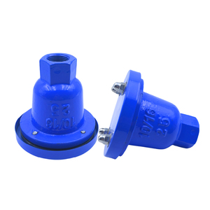 Soupape d'échappement en fonte ductile à ouverture unique pour l'eau, à commande manuelle - Product Image 3