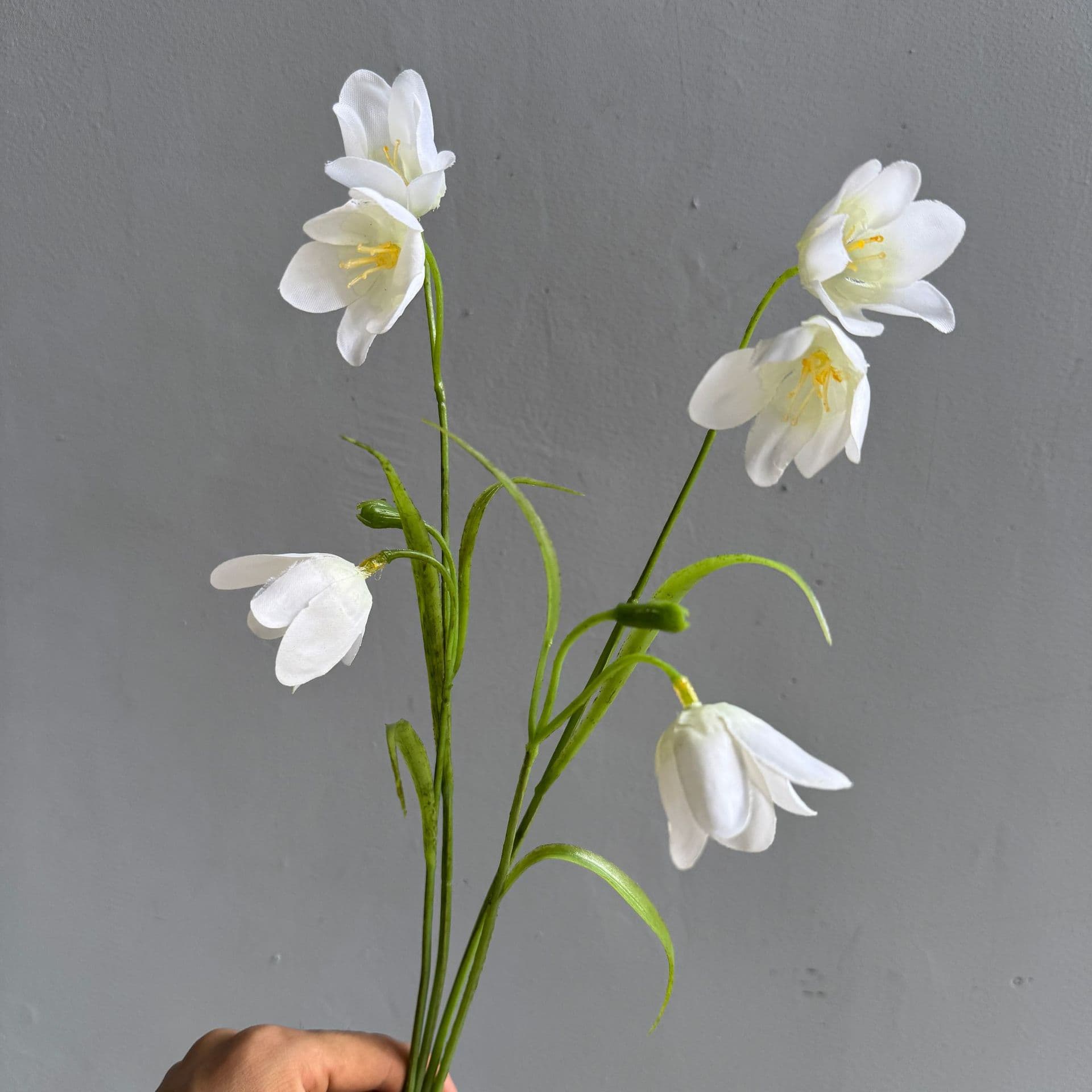 Blanco