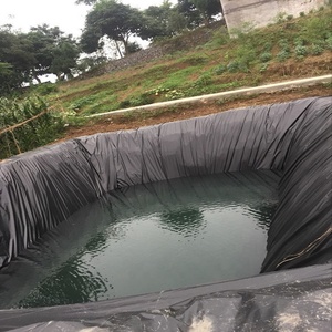 Vente flash Géomembrane 1 mm en PVC, feuille de revêtement de géomembrane, revêtement de bassin EPDM, grand revêtement de bassin, géomembrane HDPE 1 mm, revêtement de barrage - Product Image 2