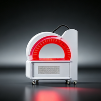Lit de thérapie par lumière rouge personnalisé OEM ODM, lit de photobiomodulation avec options de longueurs d'onde flexibles