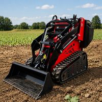 Structure stable, cadre solide, utilisation facile, mini-chargeuse sur pneus haute puissance de 19,2 kW pour les applications agricoles et d'aménagement paysager