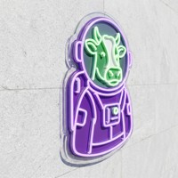 Enseigne néon LED rétroéclairée personnalisée Zhilin, lettres néon personnalisées, décoration commerciale, impression UV, étanche IP65, pour bar et maison