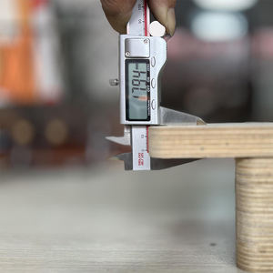 Contrachapado Estándar Biz, Contrachapado Recubierto con Película de 1220*2440 mm, 18 mm, Impermeable, 12 mm, 18 mm, 20 mm, 25 mm, Contrachapado con Película Negra - Product Image 3