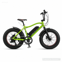 Vélo électrique à pneus larges de 20 pouces 48 V 250 W pour la vente en gros