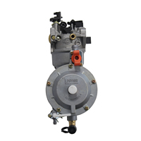 (En stock) Kit de conversion de carburateur double carburant pour moteur de générateur 188F 190F GX420 15HP 16HP 5KW-8KW GPL GNC Essence