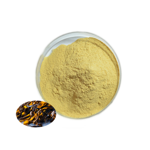 高純度昆布エキス粉末海藻エキスフコキサンチンパウダー - Product Image 1