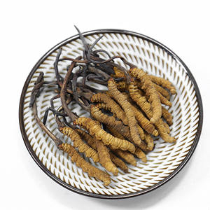 Alta calidad a granel puro Natural salvaje Luofmiss Cordyceps hongo orgánico <span class=keywords><strong>comprar</strong></span> Cordyceps <span class=keywords><strong>Sinensis</strong></span> - Product Image 2
