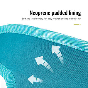 Truelove articoli all'ingrosso di moda personalizzato Eco Friendly <span class=keywords><strong>Nylon</strong></span> Pet imbracatura riflettente regolabile Outdoor gilet pettinatura - Product Image 4