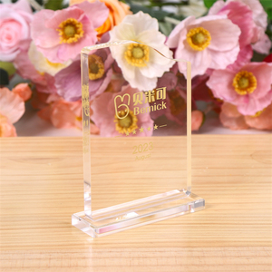 Plaques de trophée de récompense en acrylique transparent transparent transparent pour souvenirs d'anniversaire cadeaux d'affaires logo personnalisé en plastique - Product Image 2
