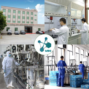 Acelerador de Pegamento WBG CA, Activador de Cianocrilato de Acción Rápida, Multisuperficie para Adhesivos de Curado Instantáneo - Product Image 6