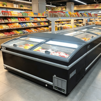 Congélateur îlot horizontal à porte coulissante en verre Elite Retail, intégré et prêt à l'emploi, pour la section de réfrigération des grands magasins