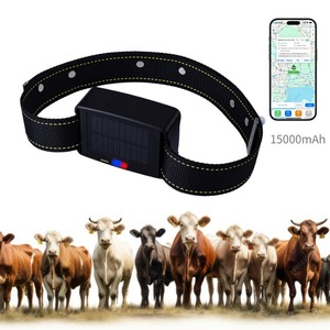 Collar GPS Inteligente con Geocerca Virtual para Ganado, Alimentado por Energía <span class=keywords><strong>Solar</strong></span>, con SIM, Rastreo Global en Tiempo Real - Product Image 1