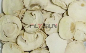 Labor-<b>Saving</b> Oranges Vacuum Freeze Drying Machine Oranges Freeze Drying <b>Equipment</b> Oranges Dryer Machine - Product Image 6