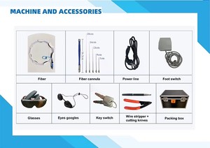 <span class=keywords><strong>Precio</strong></span> de fábrica: Máquina de lifting facial Endo de 50W con fibra óptica - Product Image 6