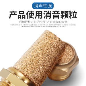 ตัวกรองลมทองเหลือง NGS ขนาด M5 1/2 นิ้ว สำหรับเครื่องอัดอากาศ - Product Image 2