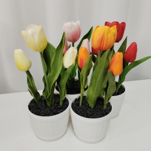 Planta Artificial en Maceta Duofu Misty, Flores de Plástico de Lujo para Decoración de Interiores, Mesa, Halloween, Navidad, Regalos, Hogar, Escuela - Product Image 5