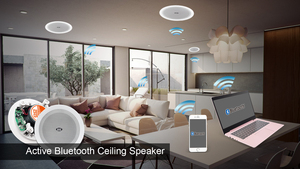 Loa Âm Trầm Tốt 6.5Inch WIFI BT Không Dây Trên Tường Loa Trần Chống Nước 30W 2ch - Product Image 5