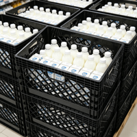 Caisse à lait robuste en plastique solide 24QT, empilable, ventilée, panier de rangement et conteneur de transport pour supermarché et entrepôt laitier