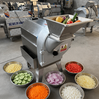 Commerciële groente- en fruit snijmachine, -hakselaar en -schaafmachine voor aardappel, ui, wortel, tomaat en frieten