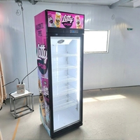 Réfrigérateur commercial vertical à porte vitrée simple pour boissons gazeuses, avec éclairage LED, support gaz R290, personnalisation OEM du logo